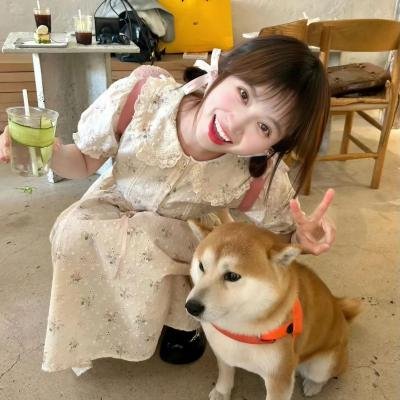 偶像星愿第三季