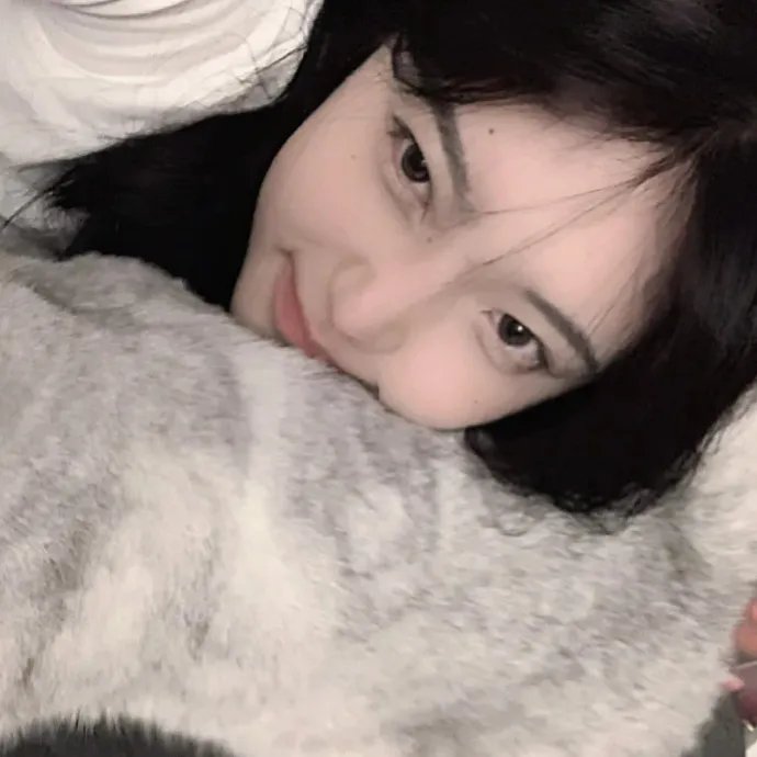 西线无战事